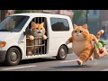 Download Lagu Mom Cat Saves Kitten from Car Animal Catcher