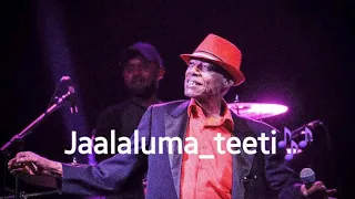Ali Bira Jaalaluma Teeti Lyrics Ethiopian Oromo Music 