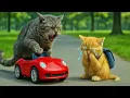Download Lagu Poor Kitten was bullied and his Car was taken by the mean Cat, Mama Cat Teaches Him a Lesson
