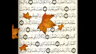 سورة الإنفطار بصوت محمد البراك 