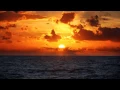 Patrick O'Hearn - Delicate
