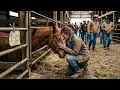 The Sale Barn Sold Her the Blind Mare for 40 Her Foals Funded the Whole Operation