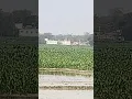 Download Lagu is azaan ko Gaur Se sune namaj ke liye bulana masjid na Reno oppo 11 zooming