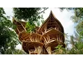 Download Magical houses, made of bamboo | Elora Hardy mp4 3gp mp3 videos - waplic