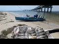 Oregon Inlet Sheepshead Kayak Fishing Cook