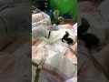 Sleeping mom s feet