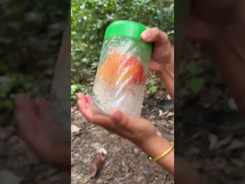 Survival Skills: mom show SURVIVAL SKILLS with Apple #mom #forest #life #survivaltips