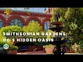 Inside The Smithsonian Gardens In Washington DC