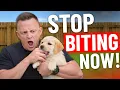 How to STOP Puppy Biting In SECONDS