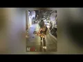 ستة الصبح~[speed up]~مسرعه