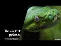 Python Masterclass