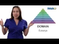 Learn Biology Classification - The Taxonomic Hierarchy