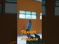 Download Lagu Senam Pinguin