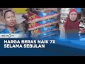 Download Lagu Harga Beras Naik Drastis di Polewali Mandar