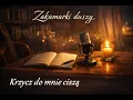 Lagu Krzycz do mnie ciszą | Poezja śpiewana