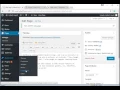 WordPress Demo Install and use simple custom css plugin