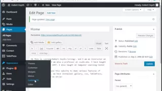 WordPress Demo Install and use simple custom css plugin