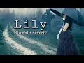 Lagu Lily - Alen Walker (Lofi + Slowed + Reverb) | Lofi Songs Channel