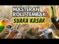 Masteran Roll Tembak Kasar Suara Tembus