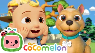 Everyone Loves Bingo 🐕🐶 CoComelon Songs and Nursery Rhymes for Kids 🎶