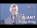 Download Lagu GIANT(+ Talk)  - Stray Kids｜韓国未放送シーン(미방)｜2024 Music Bank Global Festival in JAPAN  (2024.12.15)