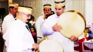                                     دندنها