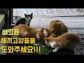 Download Lagu 만나려 갑니다~