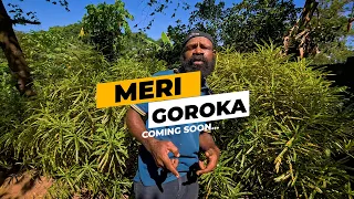 MERI GOROKA_ Jayhayne Ft Jaigon