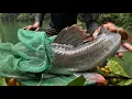 Download Lagu Thử Nghiệm Thành Công Lờ Cá Khổng Lồ Đặt Chìm // Giant fish trap in the forest