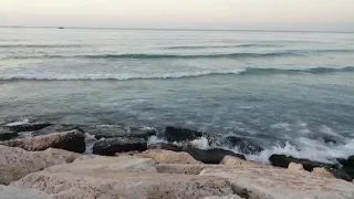 يابحر يابو اليتاماا دندنها