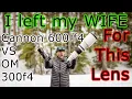 Canon RF 600mm f4 vs OM Systems 300mm f4 Ultimate wildlife shoot out Is bigger really better