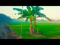Download Lagu Iksan Skuter - Pulang (video makurapa) | lokasi desa Kendengsidialit kec. Welahan