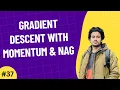 37 Gradient Descent with Momentum NAG Optimization in Machine Learning Bangla