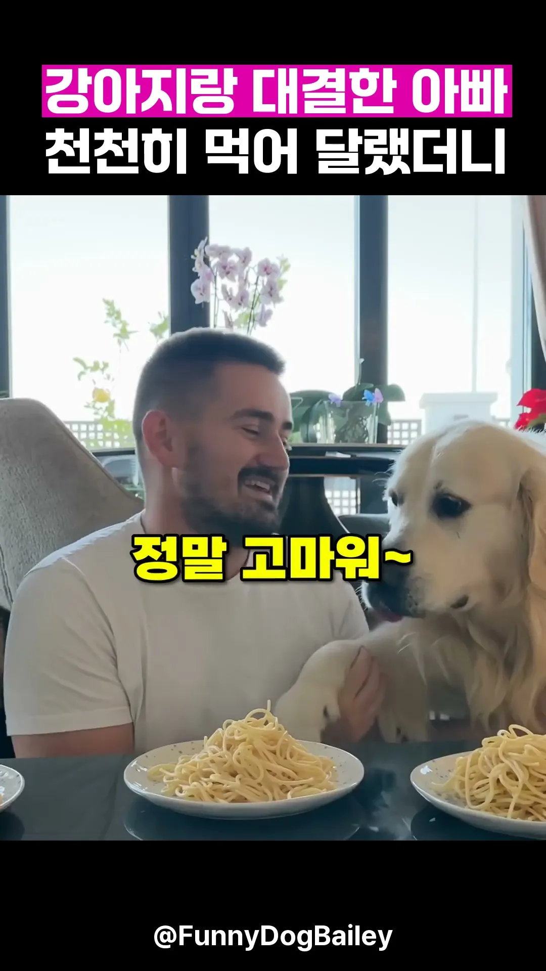 강아지랑 대결한 아빠, 천천히 먹어 달랬더니