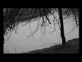Conor Walsh :: Bars
