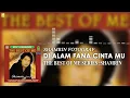 Download Lagu Shamrin Fotograf - Di Alam Fana Cinta Mu (Official Audio)