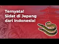 Download Lagu Jarang Yang Tahu!, Ikan Sidat Punya Potensi Ekspor Tinggi!