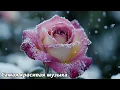 Download Lagu Красивые цветы и расслабляющая музыка для снятия стресса🌿Музыка для умиротворения🌿Сергей Грищук #3