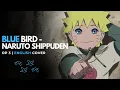 Download Lagu Blue Bird - Naruto Shippuden Op 3【English Cover】| Oronyx