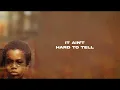 Nas - It Ain't Hard to Tell (Visualizer)