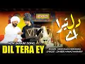 Dil Tera Ey - Awais Raza Nekokara | Zaheer Ahmad Mahrivi | Saraiki- Punjabi Music 2025 | Eid Song