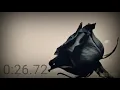 DARA AYU (MAWAR HITAM) VIDEO LIRIK