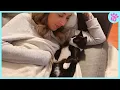 Download Lagu Cute Cat Show Love 😻 Cat and Human Moments