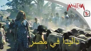                   فيديو نادر    زيارة  داليدا  لمصر في السبعينيات دندنها
