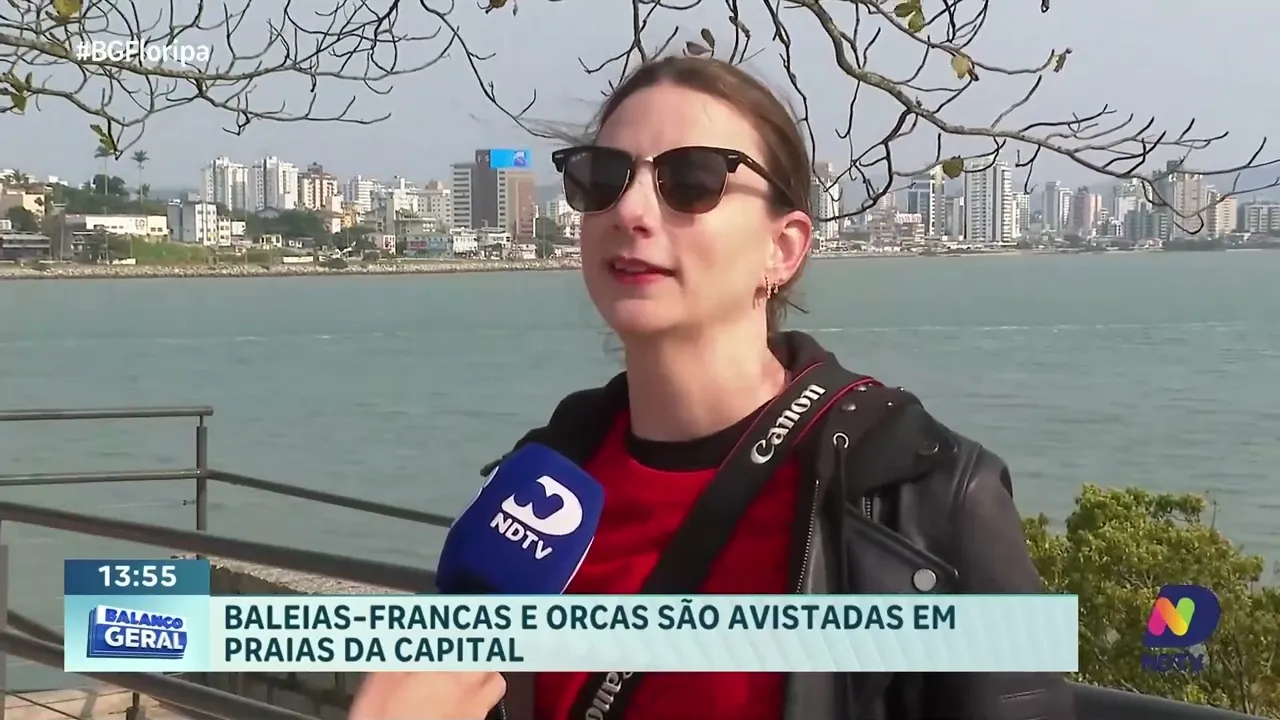 Baleias e orcas surpreendem visitantes nas praias de Florianópolis