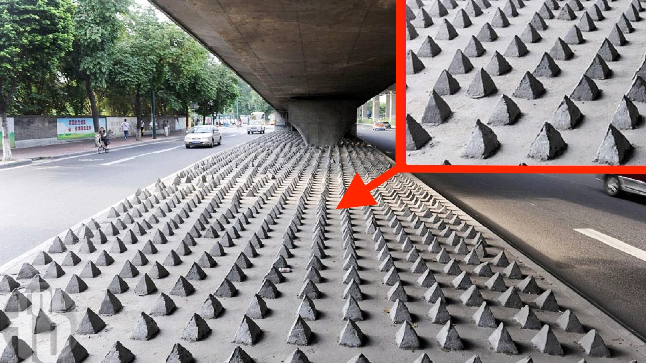 Urban Design Tactics That Shape City Behavior