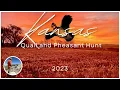 HOT Kansas Upland Hunt Quail and Pheasant
