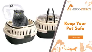 Pet One Small Animal Carrier Online Pet Supplies Petco Direct