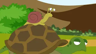 الصبر جميل يا بيه   محمد هنيدى         دندنها