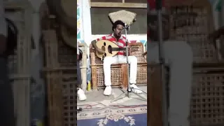 ارتجال عود الفنان النوبي مصطفي ابن جزيرة سهيل في جلسه فنيه مع شباب جزيرة هيساء دندنها